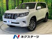 2019 TOYOTA LAND CRUISER PRADO