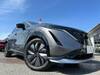 NISSAN OTHER