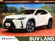 2019 LEXUS UX