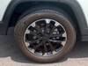 CHRYSLER JEEP COMPASS