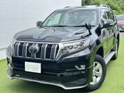 2017 TOYOTA LAND CRUISER PRADO TX
