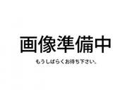 2010 MITSUBISHI OTHER