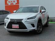 2018 LEXUS NX