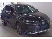 2020 LEXUS NX