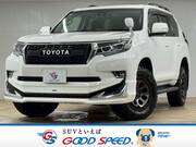 2019 TOYOTA LAND CRUISER PRADO TX