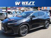 2023 LEXUS NX