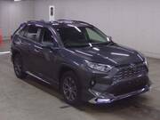 2024 TOYOTA RAV4 G