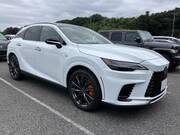 2024 LEXUS RX