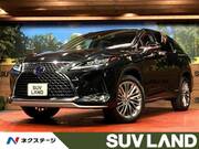 2022 LEXUS RX