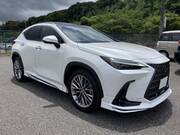 2024 LEXUS NX