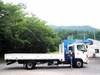 HINO POWDER CEMENT TRUCK