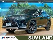 2021 LEXUS RX