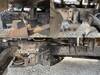 FUSO CANTER GUTS