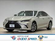 2019 LEXUS ES
