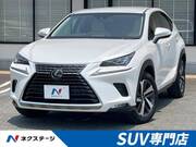 2018 LEXUS NX