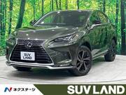 2020 LEXUS NX