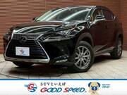 2019 LEXUS NX