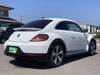VOLKSWAGEN THE BEETLE