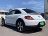 VOLKSWAGEN THE BEETLE