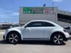VOLKSWAGEN THE BEETLE