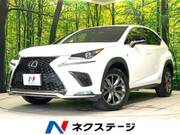 2019 LEXUS NX