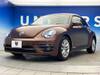 VOLKSWAGEN THE BEETLE