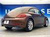 VOLKSWAGEN THE BEETLE
