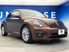 VOLKSWAGEN THE BEETLE