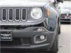 CHRYSLER JEEP RENEGADE