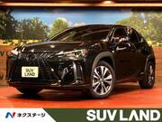 2019 LEXUS UX