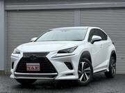 2019 LEXUS NX