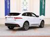 JAGUAR OTHER