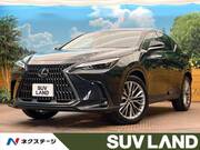 2024 LEXUS NX
