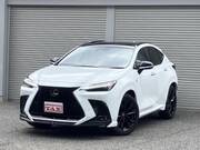 2024 LEXUS NX