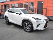 2018 LEXUS NX