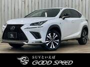 2018 LEXUS NX