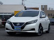 2018 NISSAN LEAF