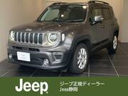 2020 CHRYSLER JEEP RENEGADE