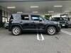 CHRYSLER JEEP RENEGADE