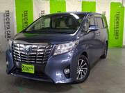 2016 TOYOTA ALPHARD