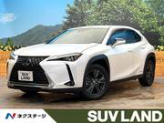 2019 LEXUS UX