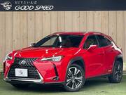 2019 LEXUS UX