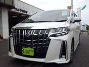 2019 TOYOTA ALPHARD