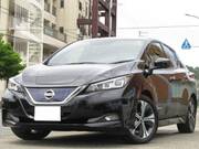 2021 NISSAN LEAF