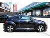 VOLKSWAGEN THE BEETLE