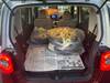 DAIHATSU OTHER