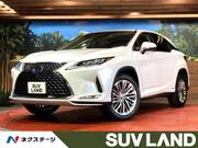 2020 LEXUS RX