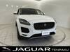 JAGUAR OTHER