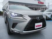 2018 LEXUS NX