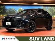 2022 LEXUS NX
